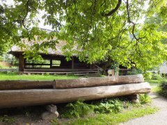 Freilichtmuseum Vogtsbauernhöfe - Gutach (06)