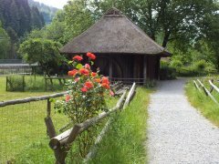 Freilichtmuseum Vogtsbauernhöfe - Gutach (14)