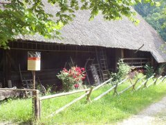 Freilichtmuseum Vogtsbauernhöfe - Gutach (19)