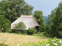 Freilichtmuseum Vogtsbauernhöfe - Gutach (09)