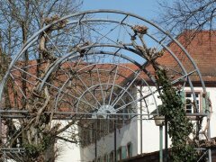 Franziskanerkloster Offenburg (02)