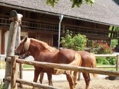 Freilichtmuseum Vogtsbauernhöfe - Gutach (24)