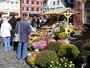 und nun ist Lahr nicht nur geschmückt mit Chrysanthemen