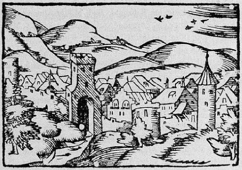 Fig. 258. Ansicht von Offenburg, Holzschnitt vom Ende des 15. Jhs.