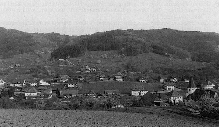 Blick auf den Hang, an welchem die mittelalterliche Bergwerksstadt Prinzbach lag - Aufnahme: Wolfgang Westermann