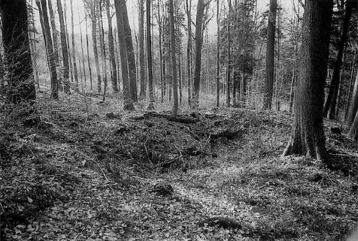 Abbildung 3: Tagebau-Pingen im Giesental bei Reichenbach