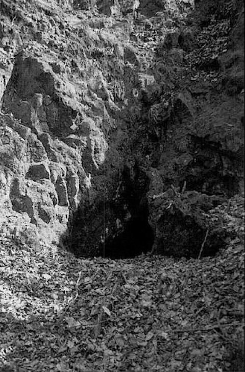 Abbildung 8: Oberer Stollen der Grube Johannis Segen im Gutachtal