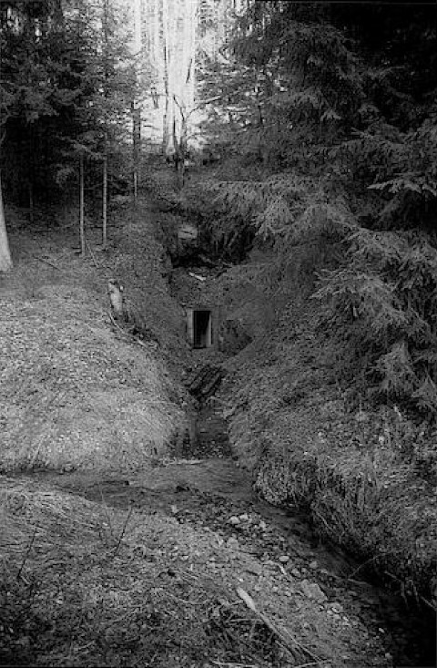 Abbildung 10: Tiefer Wolfgangstollen in Alpirsbach 1999 (fast ganz zugeschüttet