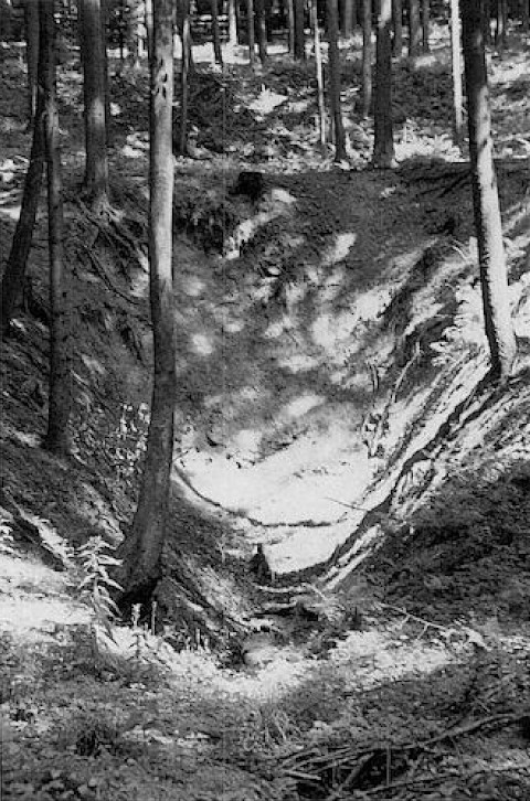 Abbildung 11: Verfallenes Stollenmundloch der Grube Ludwig im Adlersbach