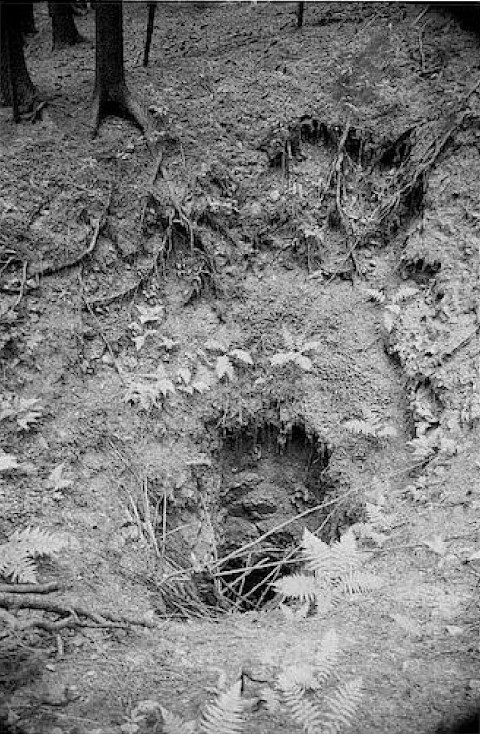 Abbildung 17: Schaft der Grube Erzengel Gabriel im Einbach