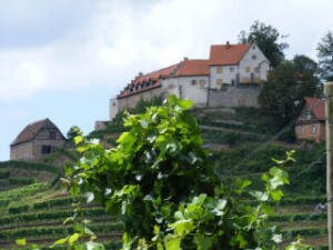 Burg Staufenberg - Durbach