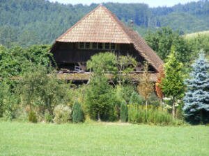 Schwarzwälder Haus - Steinach