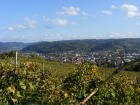 Schutterlindenberg - Blick ?ber Lahr