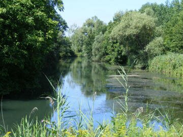 Naturschutzgebiet Taubergie?en