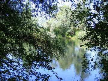 Naturschutzgebiet Taubergie?en